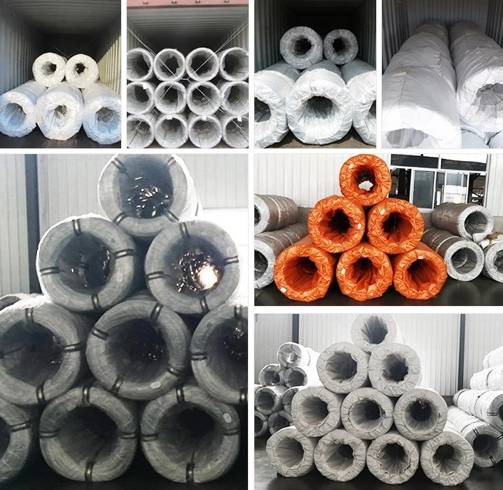 Electro Galvanized Binding Wire/Galvanized Iron Wire/Galvanized High Carbon Steel Wire